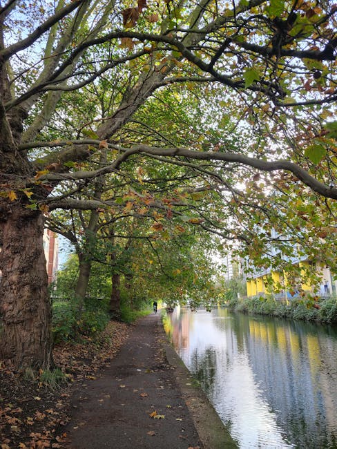 A narrowboat painted in dark colors, with a black exterior and small orange lifebuoys on the roof, is moored along a canal edge surrounded by lush green trees, including a prominent weeping willow on 
